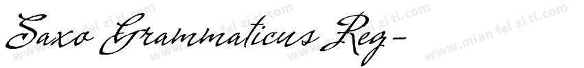 Saxo Grammaticus Reg字体转换